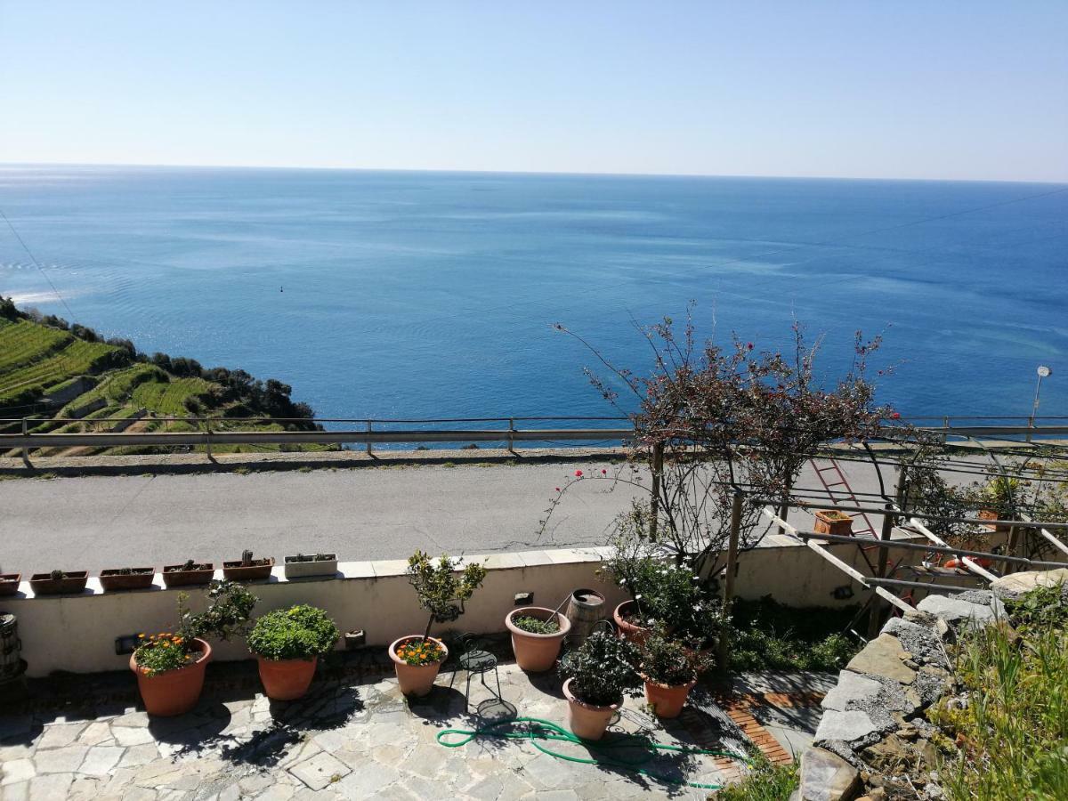 La Serra Sul Mare Monterosso al Mare Eksteriør billede
